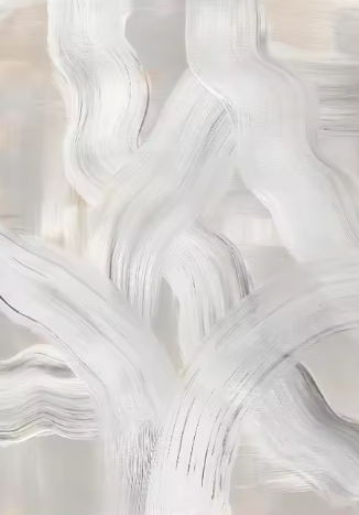 Capture d'écran 2025-04-15 141458